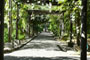 JR O'Neal Botanical Garden Road Town Tortola British-Virgin-Islands